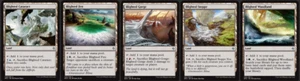 20 Blighted Land - BATTLE FOR ZENDIKAR - NM/SP - 4x of each - Sets - MTG FTG - Picture 1 of 1