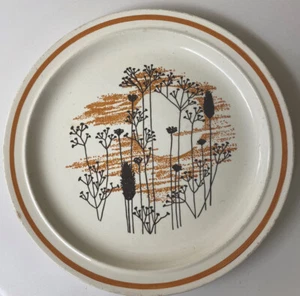 VINTAGE PLATE,10” DINNER,ROYAL CHINA JEANNETTE,SUNSET PATTERN,MCM,STONEWARE,60s? - Picture 1 of 3