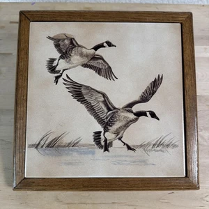 Targa piastrella arte oche Canada vintage incorniciata decorazione parete fauna selvatica uccelli cabina - Foto 1 di 8