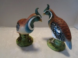 Juego de 2 estatuillas de pájaro faisán de porcelana vintage edición limitada pintadas a mano 7,5' - Imagen 1 de 12