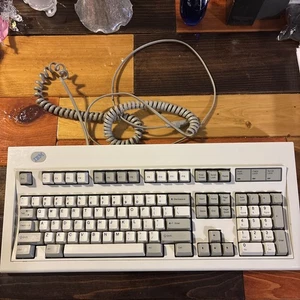 Testowana vintage IBM Easy OPTIONS 101-klawiszowa rozszerzona klawiatura Model M Lexmark - Zdjęcie 1 z 11