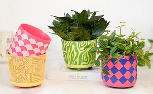 5 Inch Indoor Plant Pots with Colorful Pearl Shell Sage, Perfect for Outdoor ... - Picture 1 of 8