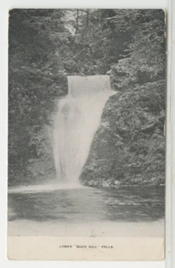 Vista postal de Lower Buck Hill Falls - Pocono Mountains c1910 de colección F24 - Imagen 1 de 2