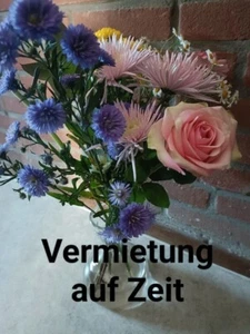 ☼Frisch renovierte Monteurwohnung, Wohnen auf Zeit, Möblierte Wohnung, Olpe - Bild 1 von 13