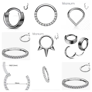 Titanium CZ Septum Helix Ring Hinged Ear Segment Tragus Hoop Daith Piercing UK - Picture 1 of 18