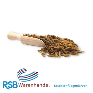 5 kg Soldatenfliegenlarven wie Mehlwürmer Hermetia calziumreich Koi Lecker.Pet®