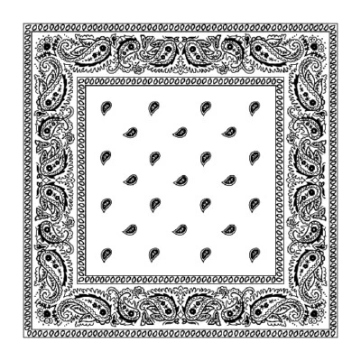 3-12 Pcs Paisley Print Bandana 100% Cotton Face Mask Cover Head Warp Scarf Lot - Image 1 of 4