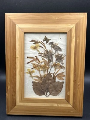 Arte botánico seco moderno de mediados de siglo enmarcado único en su clase 3,5" x 5,5" Foto 1 de 4