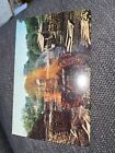Vintage Postcard Making Charcoal at Jack Daniels Lynchburg TN Tennessee    A-592