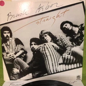 Brush Arbor – Straight - VINYL RECORD LP - Picture 1 of 3