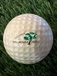 Brookfield Hills Golf Course Logo Golf Ball- Storms Family Brookfield Wisconsin - Picture 1 of 1