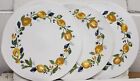 Set of 3 Kitchen Round Braided Placemats (14.5") ZEST OF HAPPY,FRUITS,LEMONS,KDD