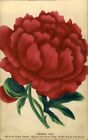1880s COLOR BOTANICAL PRINT Paeonia Red Peony Chinese Hardy