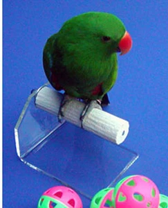 Parrot Bird Portable Small Perch good for weighing your bird on a Scale - Picture 1 of 7