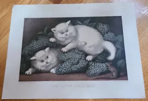 Currier & Ives Lithograph Two Little Fraid Cats -small folio - C6263, G6750 - Picture 1 of 8