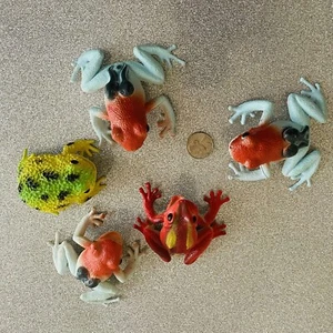 De colección 1998 TM Lote De Ranas Veneno Grande Plástico Animal Realista Prop - Imagen 1 de 3