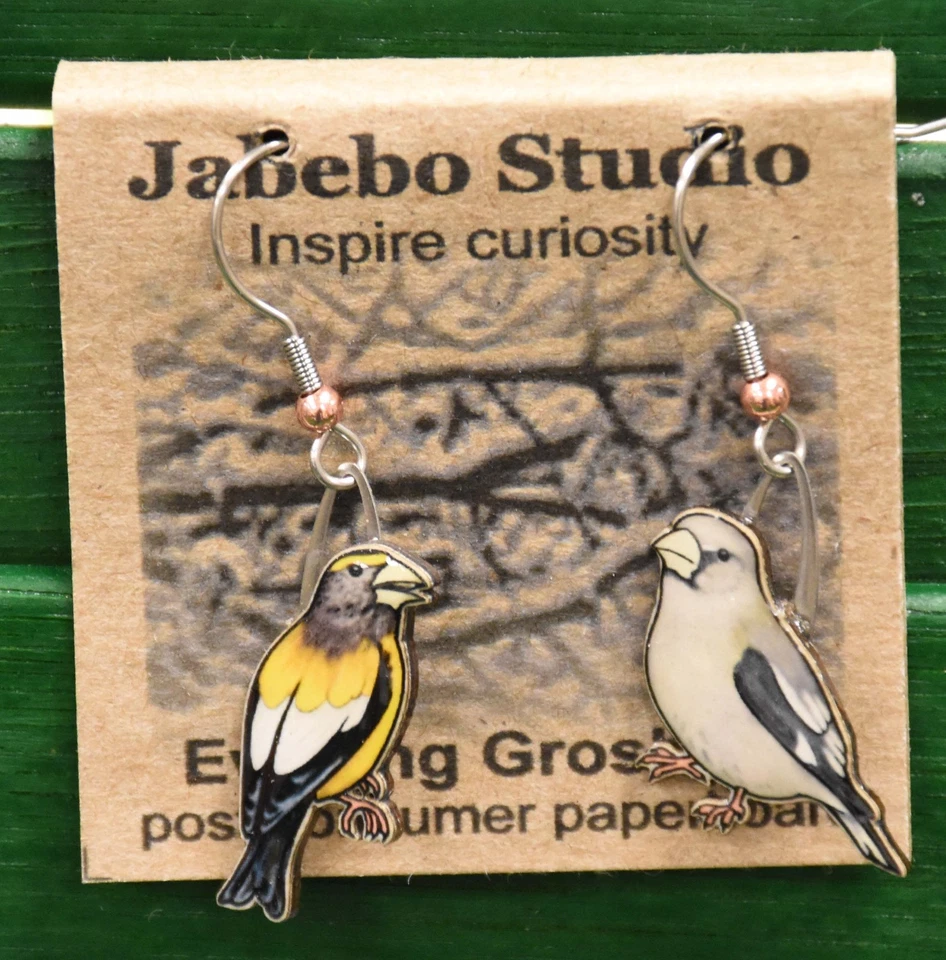 Pendientes Jabebo Noche Grosbeak Foto 1 de 1