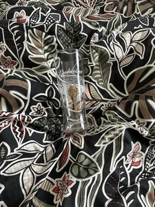 Official Budweiser Pint Glass FIFA World Cup Edition 2022 Qatar - Picture 1 of 3