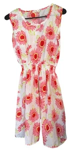 Drunken Tango Sleeveless Sheer Dress Women’s Large - Picture 1 of 7