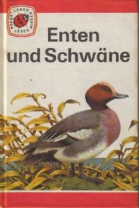 Enten und Schwäne von John Leigh Pemberton (1973, gebundene Ausgabe)