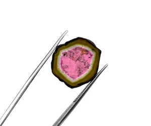Natürliche Wassermelone Turmalin Scheibe Lose Edelstein 18,50*21 MM 9 CT - Bild 1 von 6