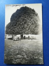 VIESTE ? - Gargano non Vg. 1931 F.P RARISSIMA