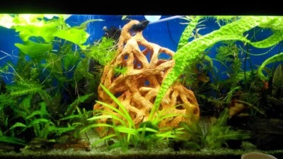 Aquarium decoration. Ceramic cave house Handmade fish tank decor hideout shrimp - Image 1 of 4