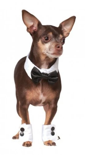 Rubie's Pet Shop Tuxedo Bow Tie and Cuff Set - Image 1 of 1