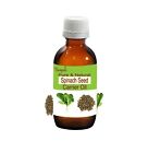 Spinach Seed Pure Natural Cold Pressed Oil Spinacia oleracea by Bangota