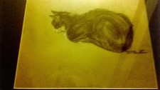 The Cat by MJune 1985