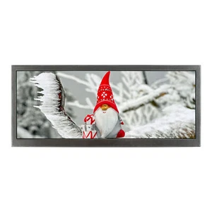 10.3 in HSD103KPW2 A10 Backlight  WLED 1920X720 Resolution IPS LCD Screen - Picture 1 of 4