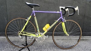 Biciclette BOTTECCHIA | Acquisti Online su eBay