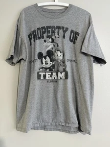 Men’s Grey Disney Official Team Florida Graphic Print Short Sleeve Tshirt - Picture 1 of 4