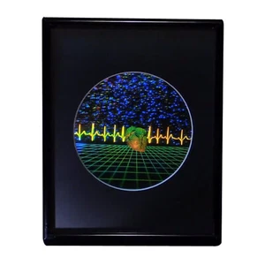 Cuore con Heartline & Grid grande immagine ologramma 3D da collezione IN RILIEVO opaca - Foto 1 di 12