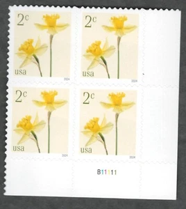 US. 5898. 2c. Daffodils. PB4 #B11111 LR. MNH. 2024 - Picture 1 of 1