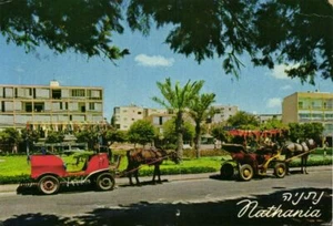 Israel palestino, NATHANYA, carro de caballos, coche (1975) Palphot 7935 postal - Imagen 1 de 2