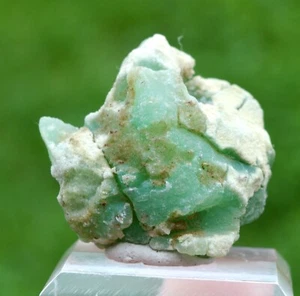 Chrysoprase 38 grammes - Szklary, Gmina Ząbkowice Śląskie, Pologne - Picture 1 of 4
