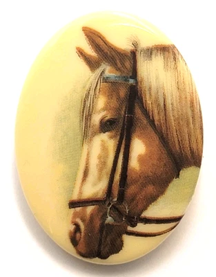 Broche de plástico ovalado vintage retrato de caballo amante de los animales ecuestres joyería Foto 1 de 4