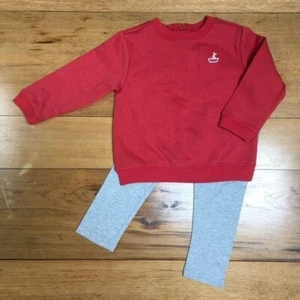 NWT Gymboree Girls Sweatshirt and Legging Set Size 18-24M - Picture 1 of 6