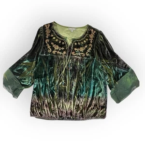 Roz & Ali Iridescent Green Velvet Top Embroidered Dark Fairy Whimsigoth Womens L - Picture 1 of 17