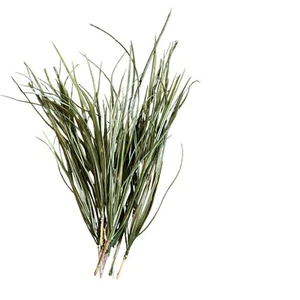 Bouquet Arangement Artificial Greenery Grass Stems Multi Size Picks Lot of 13 - Picture 1 of 7