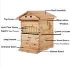 Ensemble de ruches à miel Auto Flow (ruche d'abeille en bois + 7 x cadres d'écoulement + cadres de couvain)