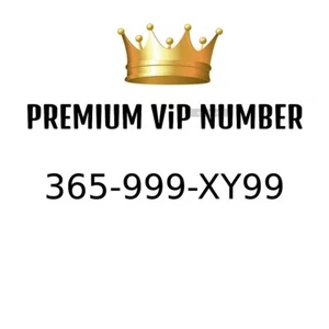 NUMÉRO VIP PREMIUM - ONTARIO 365-999-XY99 - Photo 1 sur 1