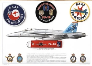 3 SQN Hornet Pack - Picture 1 of 1
