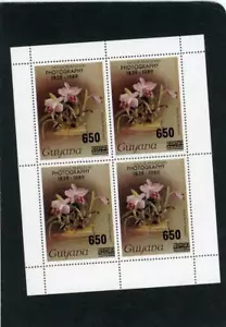 Guyana 1989 Orchids Flowers Scott# 2042-43a Mint NH S/S - Picture 1 of 1