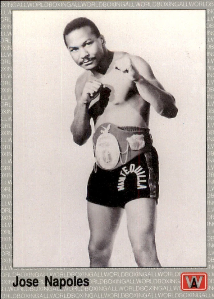 1991 AW Sports ALL WORLD BOXING PREMIER EDITION * Your Choice * Pick $0.99 SHIP - Image 1 of 1