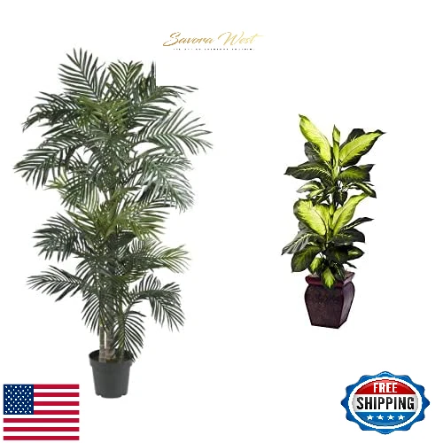 Árbol de seda palmera caña dorada casi natural de 6,5 pies y Dieffenbachia dorada de 45 pulgadas con P Foto 1 de 4