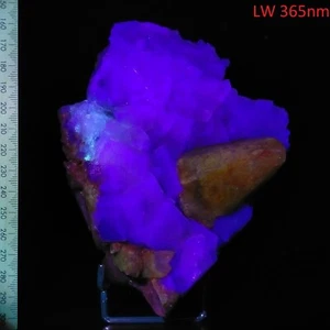 Fluorite fluorescent crystal cluster w/ Dogtooth Calcite display specimen 1.17kg - Picture 1 of 10