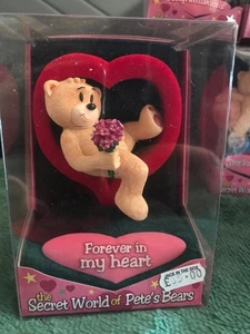 Orso cattivo gusto il mondo segreto degli orsi per sempre nel mio cuore - Foto 1 di 1