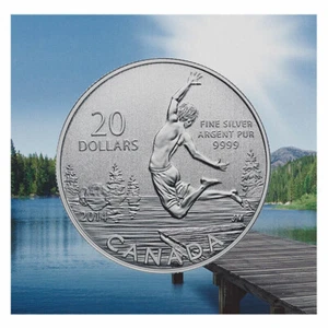 2014  $20 Fine Silver Coin - Summertime - Picture 1 of 6